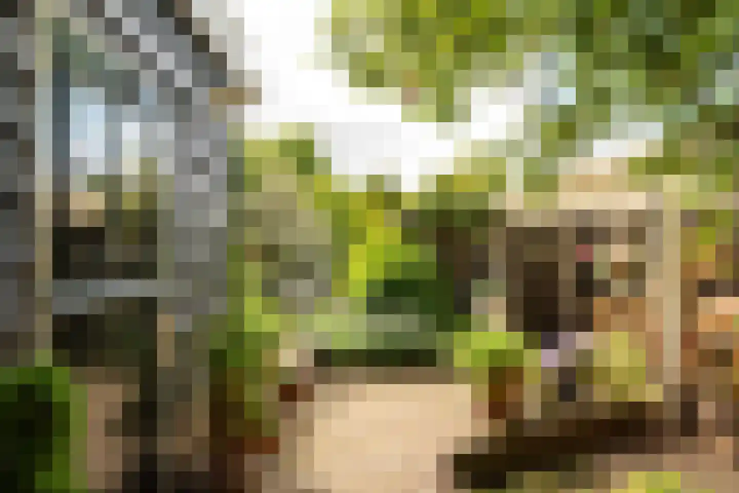 Alde Buorren 12 Sexbierum thumbnail 15