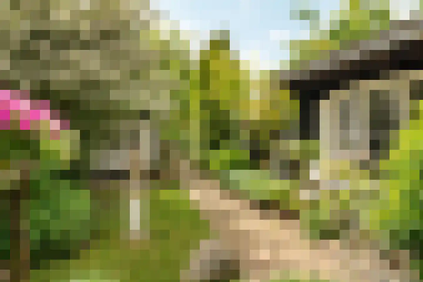 Alde Buorren 12 Sexbierum thumbnail 17