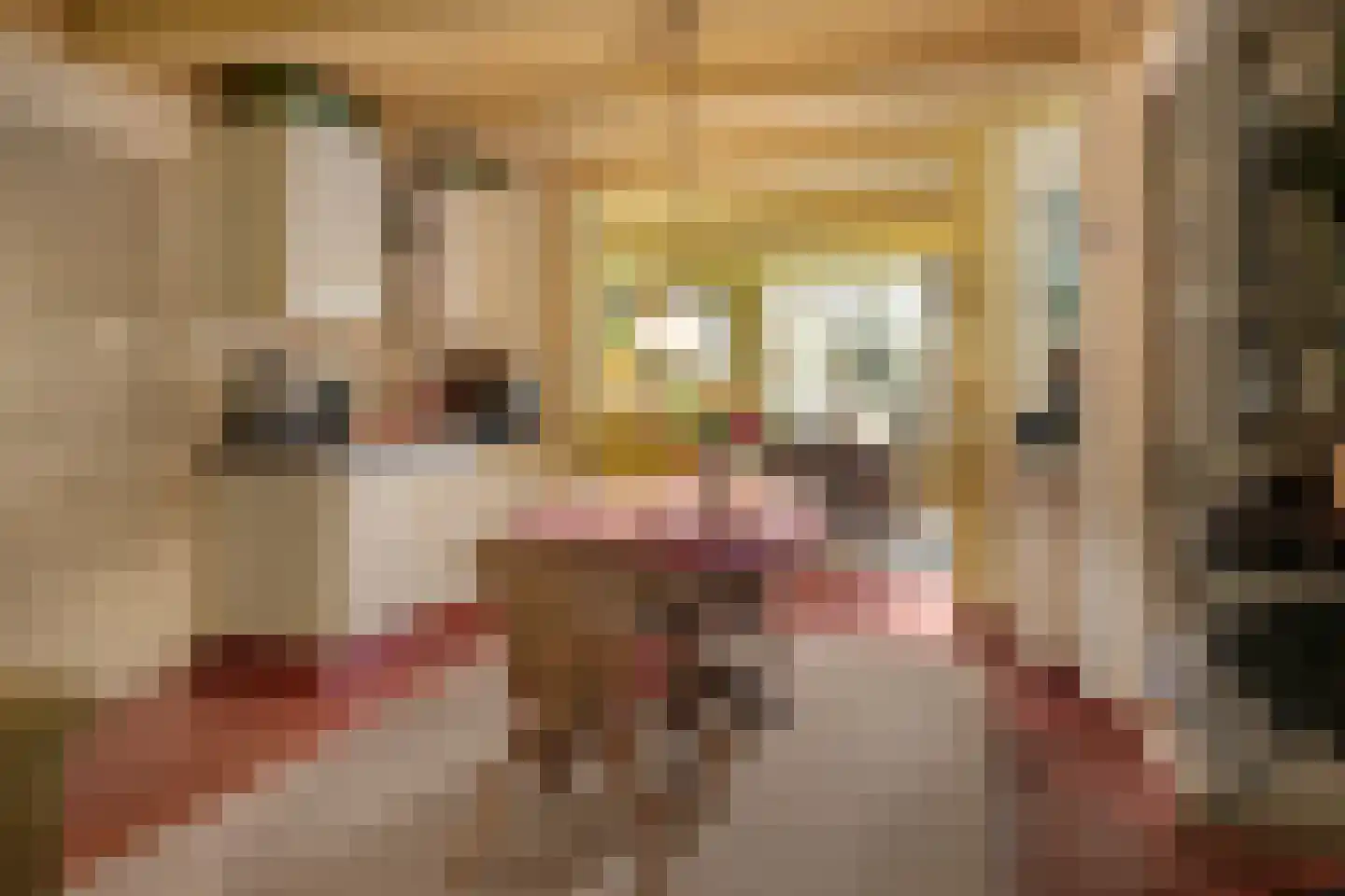 Alde Buorren 12 Sexbierum thumbnail 19