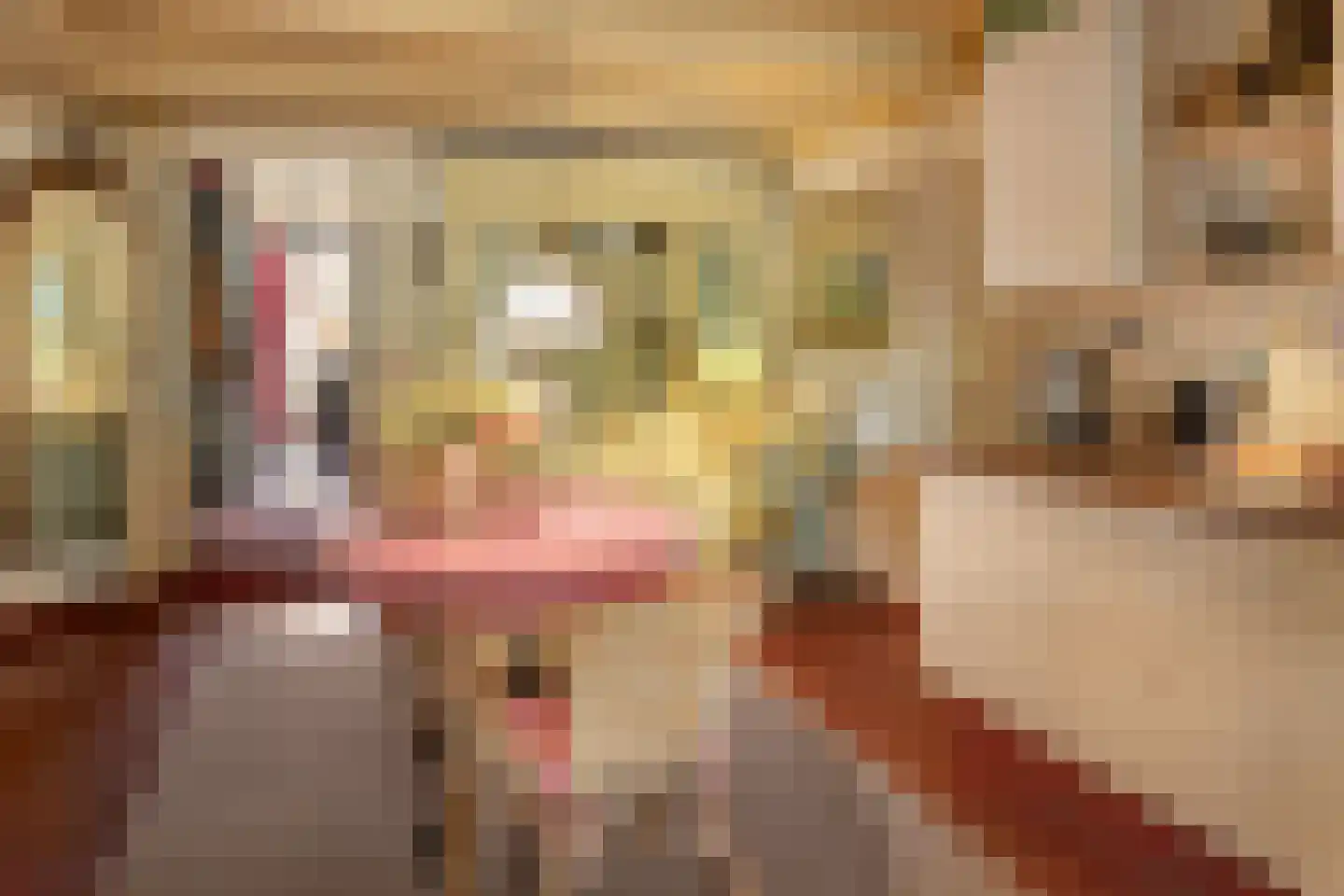 Alde Buorren 12 Sexbierum thumbnail 23