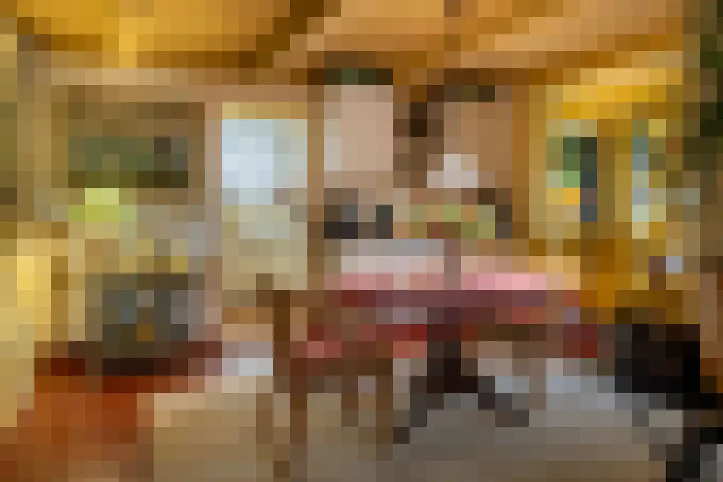 Alde Buorren 12 Sexbierum thumbnail 24