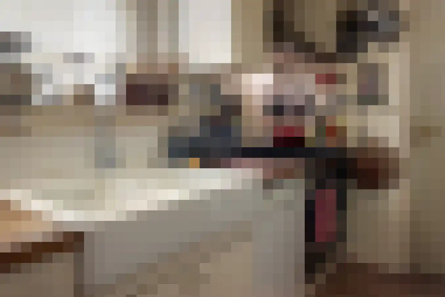Alde Buorren 12 Sexbierum thumbnail 37
