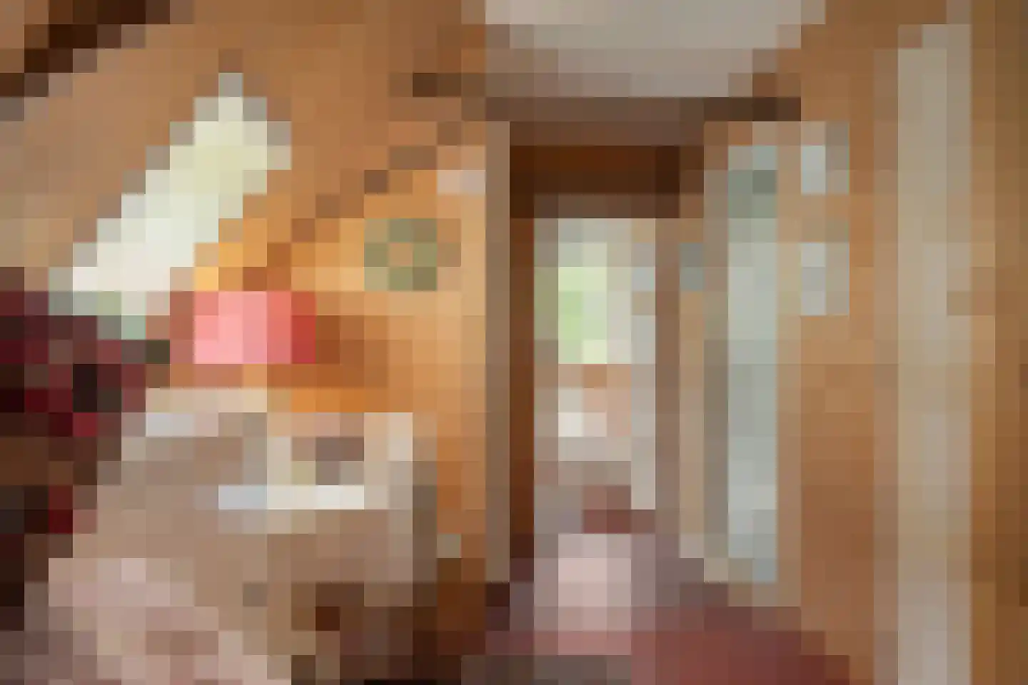 Alde Buorren 12 Sexbierum thumbnail 39