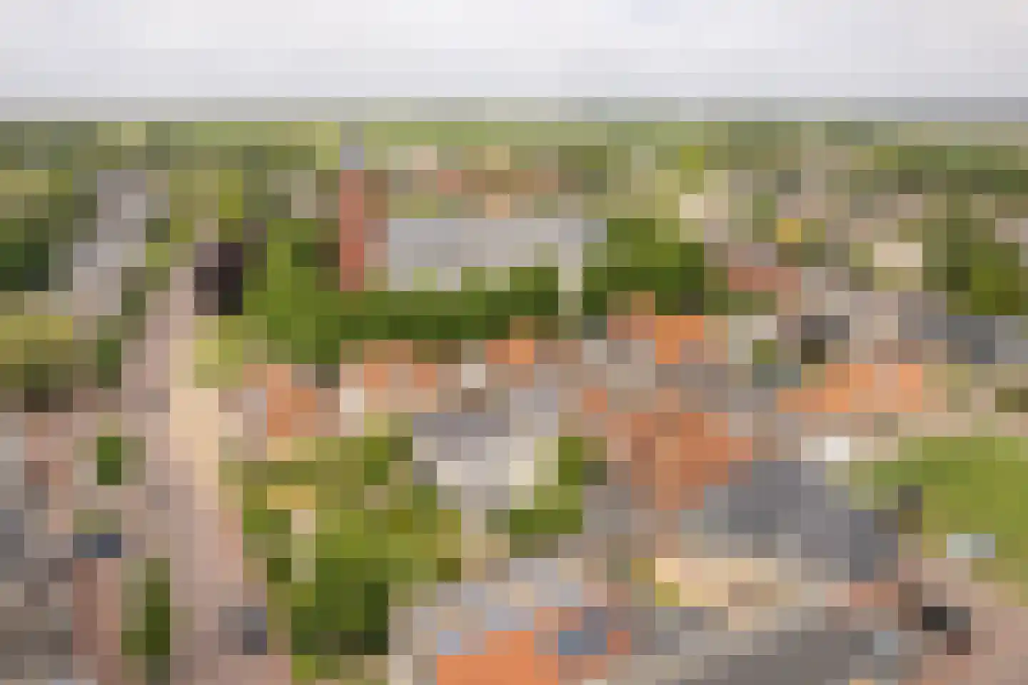 Alde Buorren 12 Sexbierum thumbnail 5