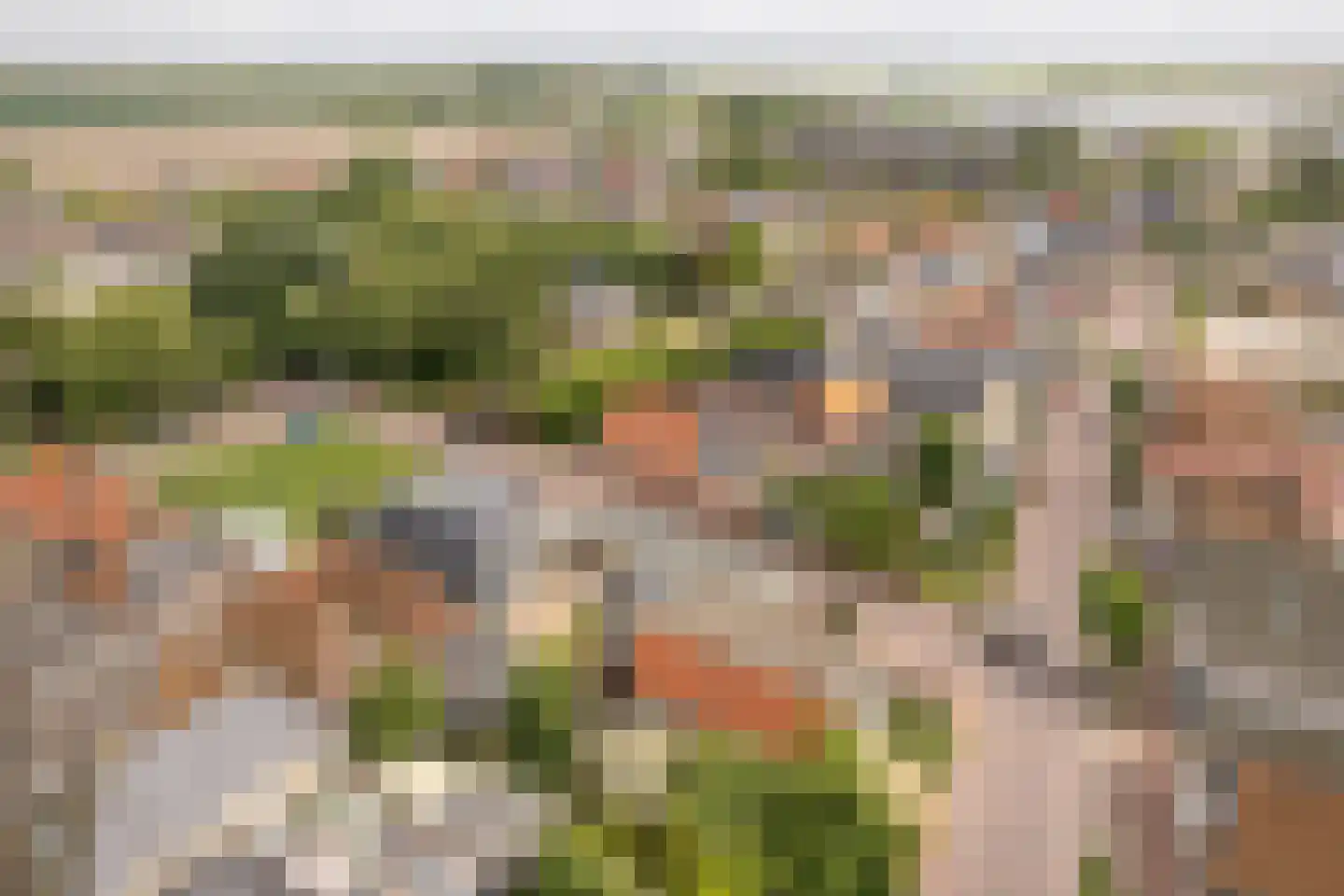 Alde Buorren 12 Sexbierum thumbnail 6