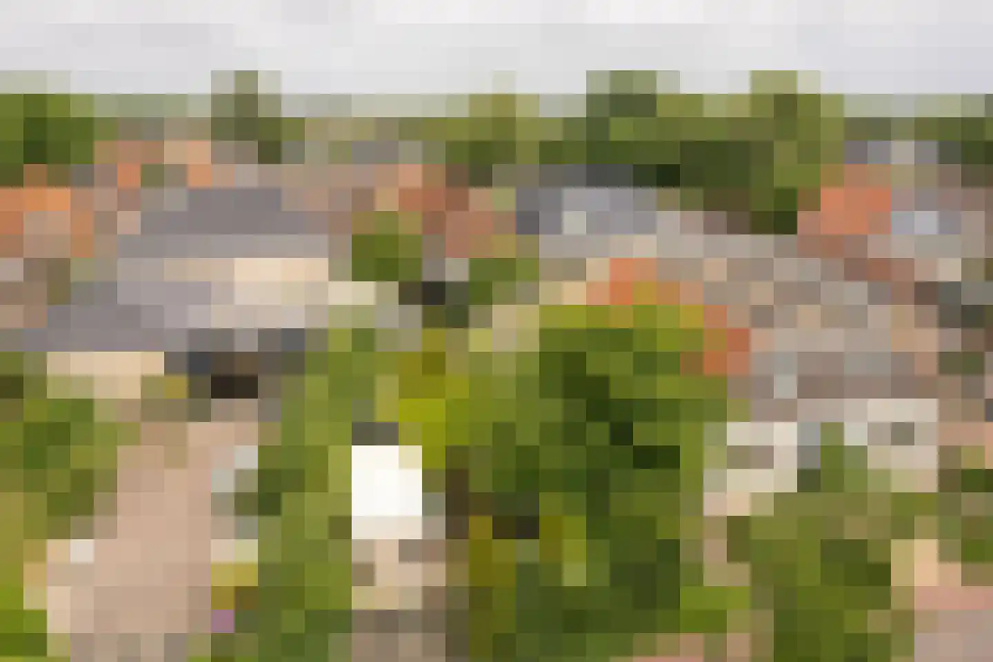 Alde Buorren 12 Sexbierum thumbnail 7