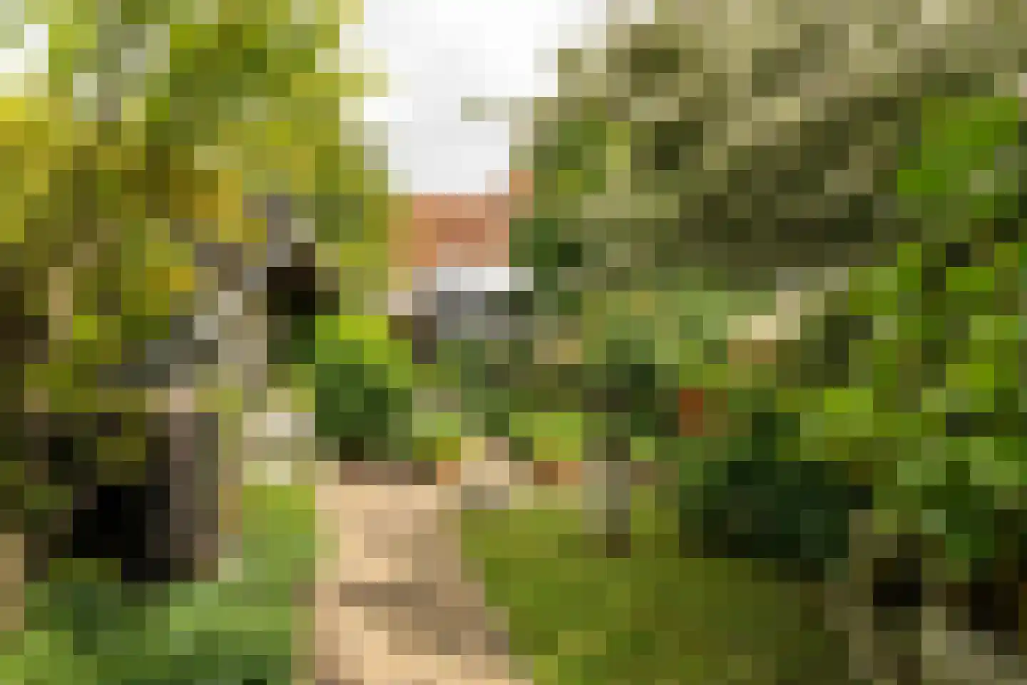 Alde Buorren 12 Sexbierum thumbnail 8