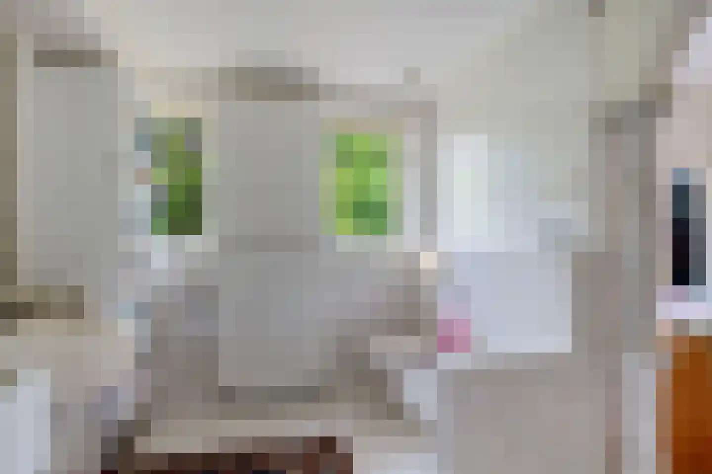Alde Drintse Wei 13 Bakkeveen thumbnail 15