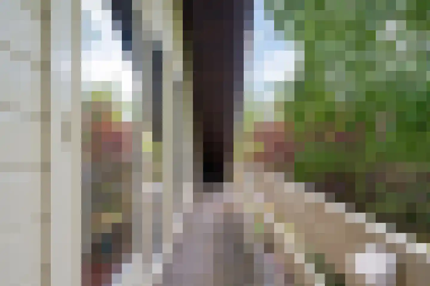 Alde Drintse Wei 13 Bakkeveen thumbnail 19