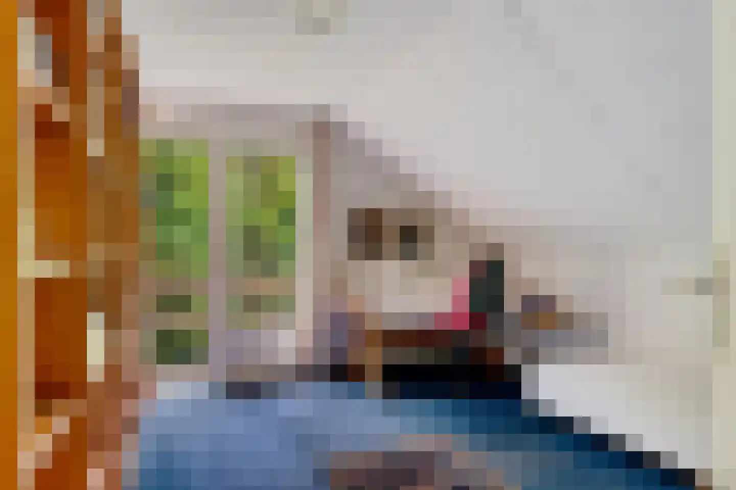 Alde Drintse Wei 13 Bakkeveen thumbnail 25