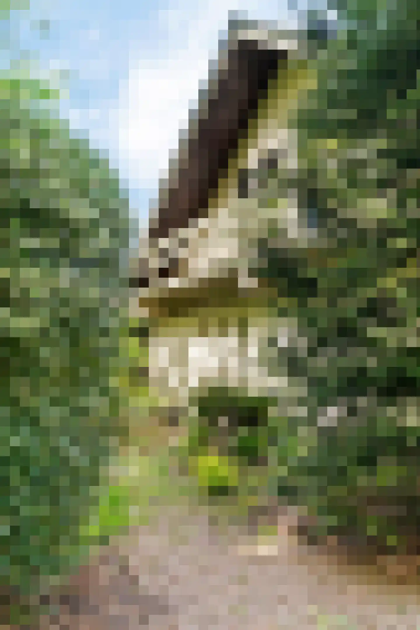 Alde Drintse Wei 13 Bakkeveen thumbnail 36