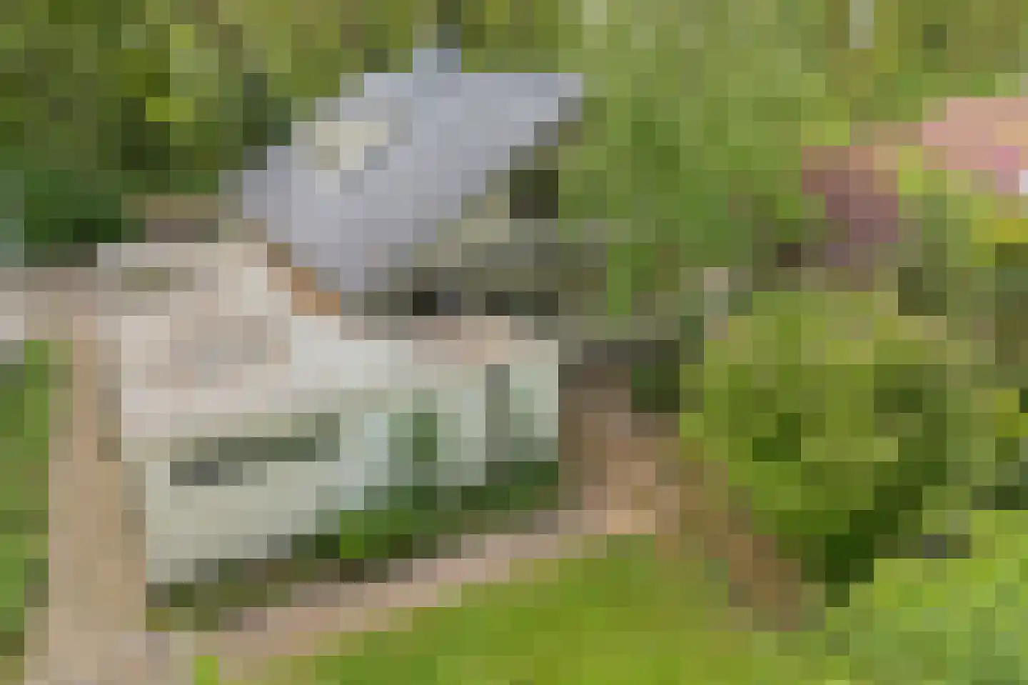 Alde Drintse Wei 13 Bakkeveen thumbnail 37