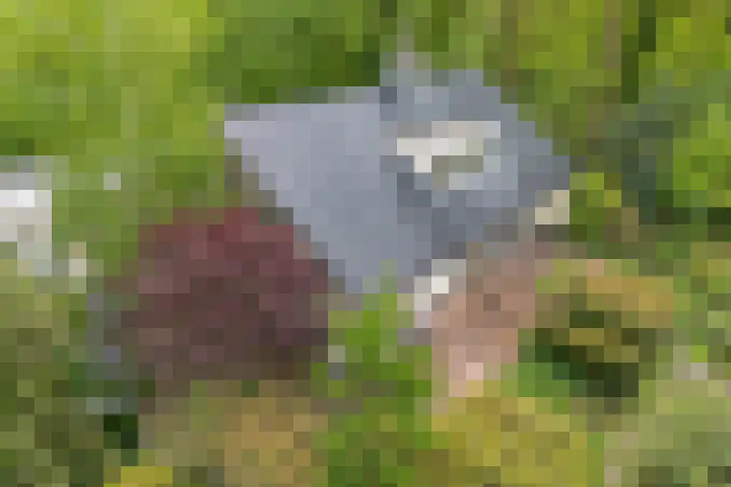 Alde Drintse Wei 13 Bakkeveen thumbnail 38