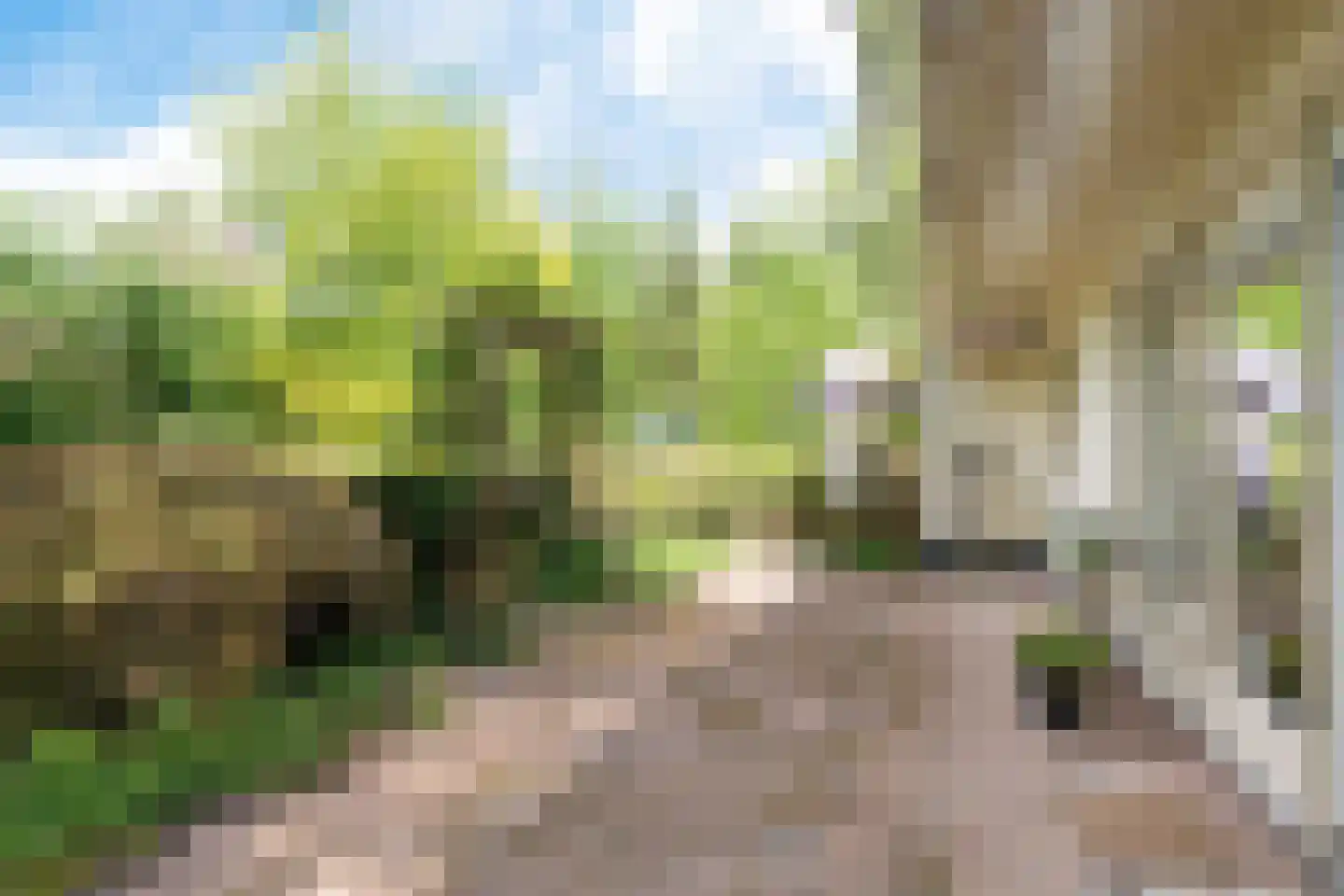 Alde Drintse Wei 13 Bakkeveen thumbnail 39