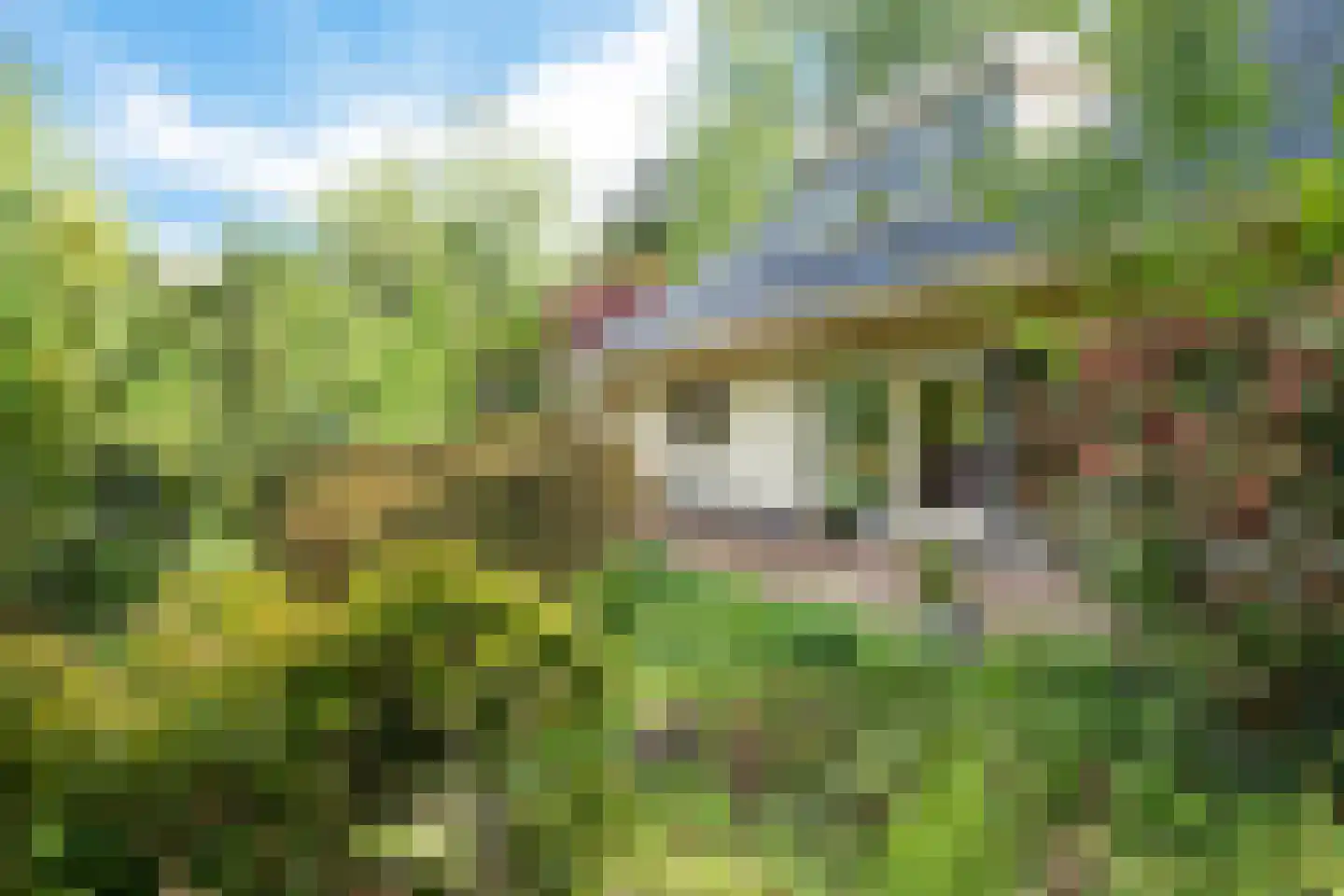 Alde Drintse Wei 13 Bakkeveen thumbnail 40