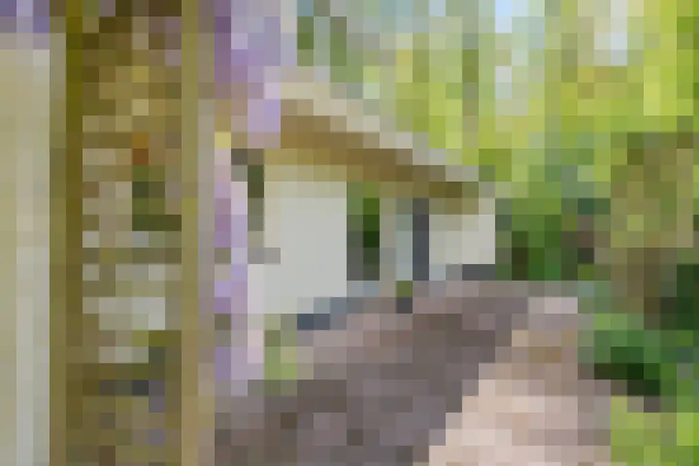 Alde Drintse Wei 13 Bakkeveen thumbnail 41