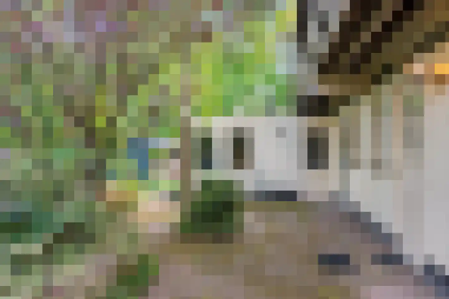 Alde Drintse Wei 13 Bakkeveen thumbnail 43