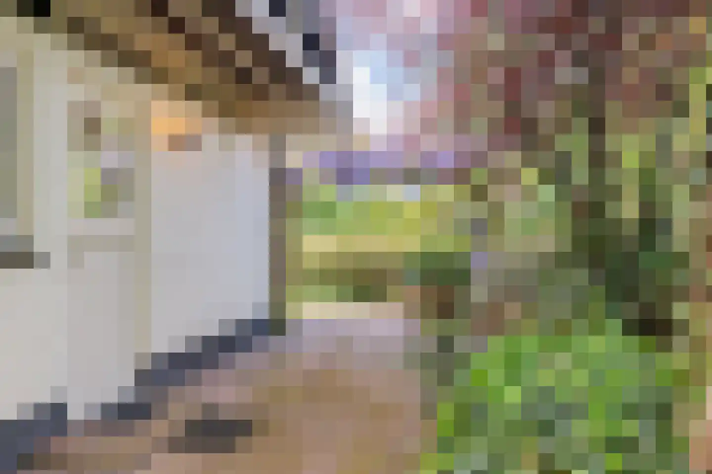 Alde Drintse Wei 13 Bakkeveen thumbnail 46