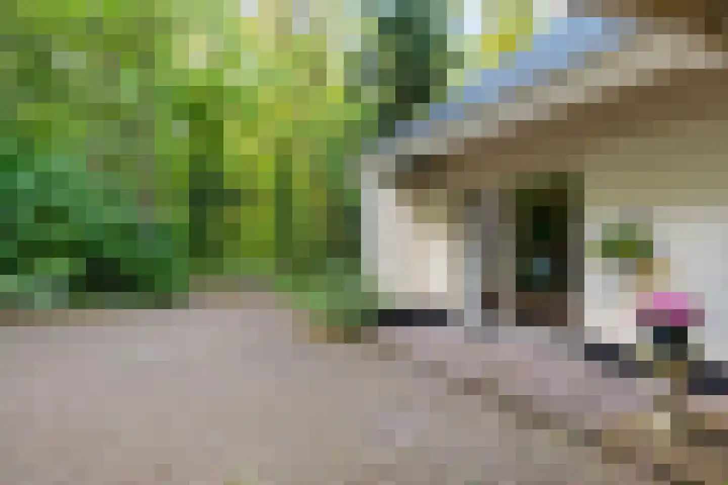 Alde Drintse Wei 13 Bakkeveen thumbnail 48