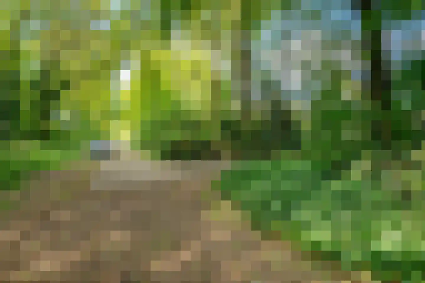 Alde Drintse Wei 13 Bakkeveen thumbnail 50