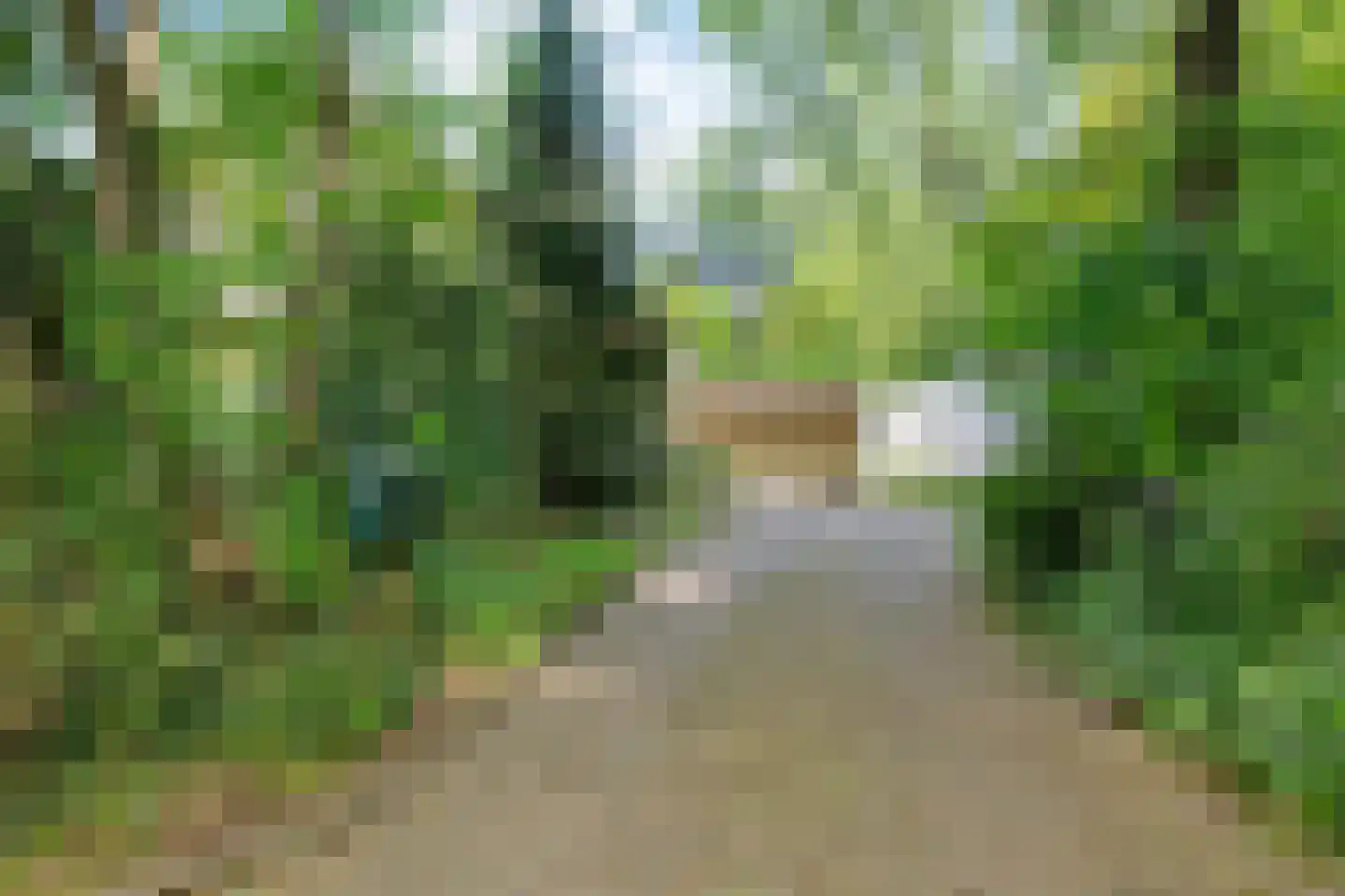 Alde Drintse Wei 13 Bakkeveen thumbnail 51