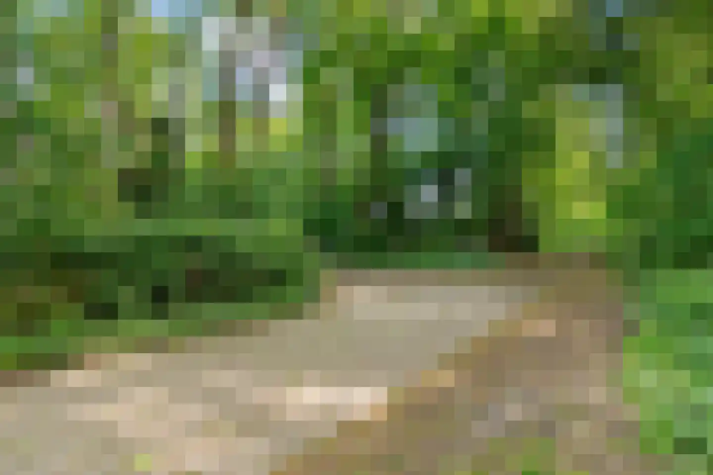 Alde Drintse Wei 13 Bakkeveen thumbnail 52