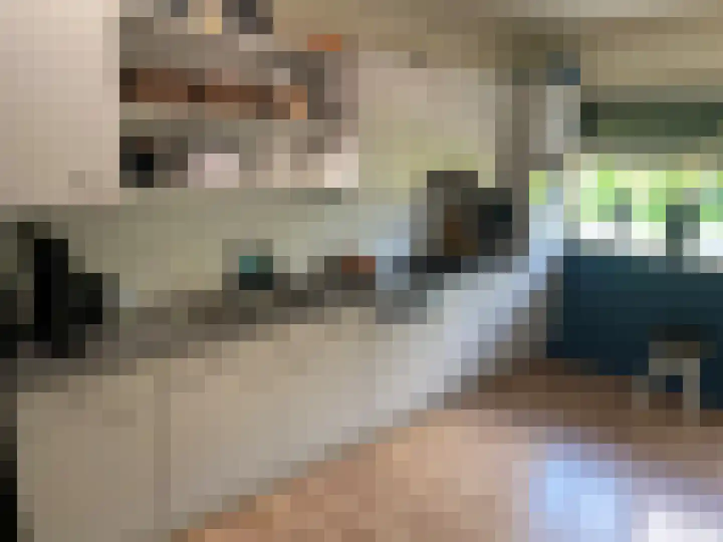 Alde Dyk 30 Kootstertille thumbnail 10