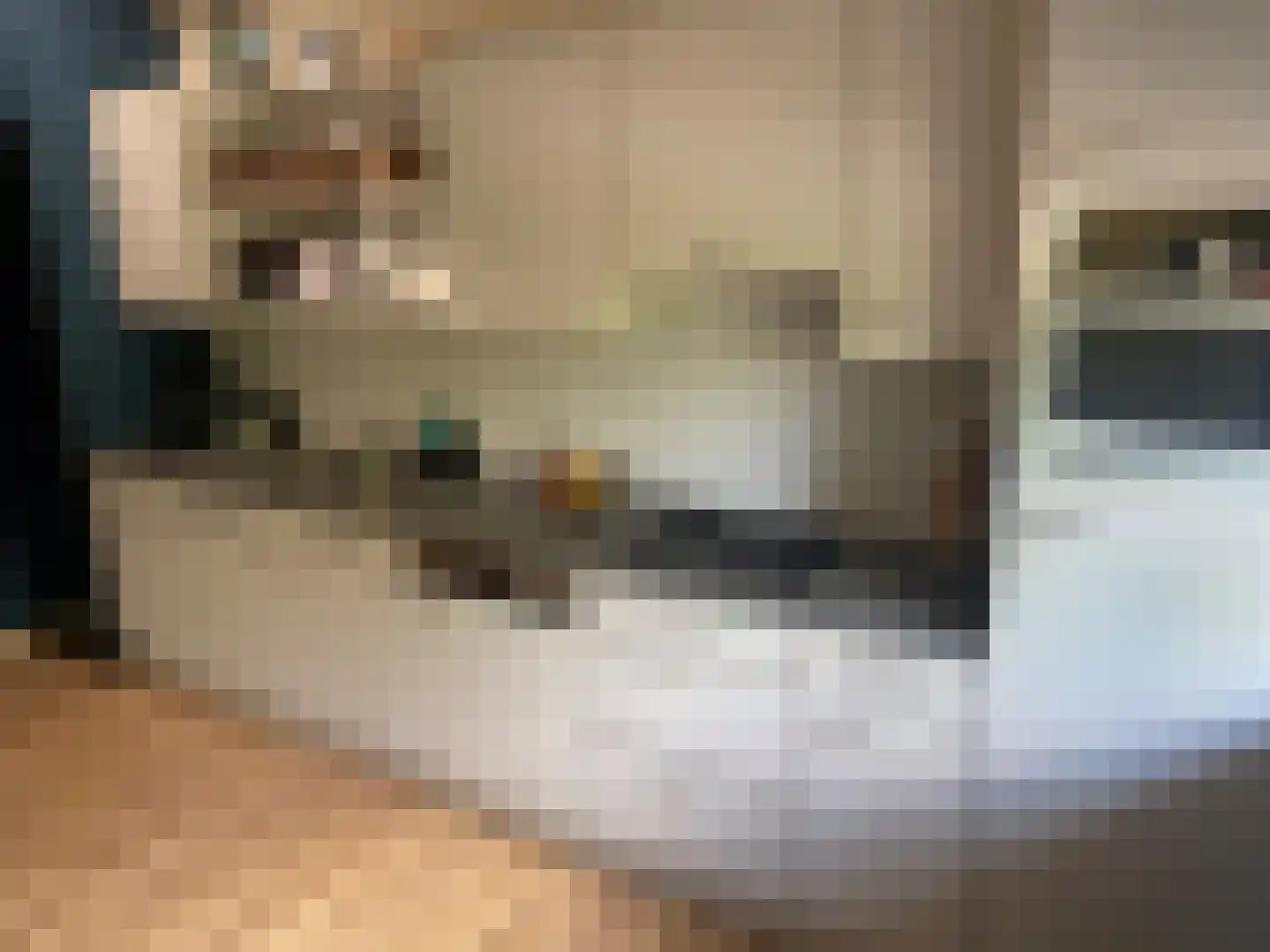 Alde Dyk 30 Kootstertille thumbnail 11