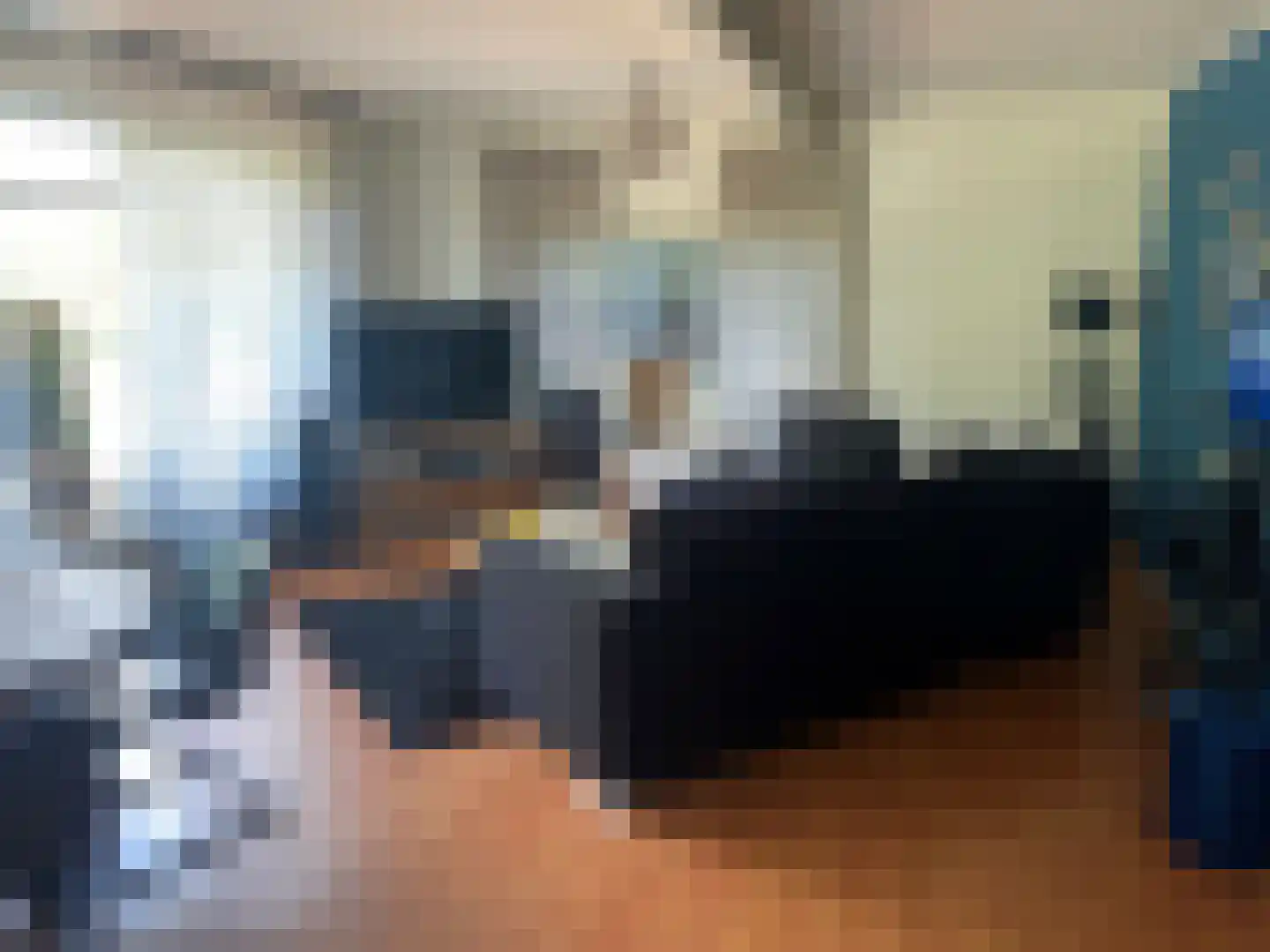 Alde Dyk 30 Kootstertille thumbnail 12