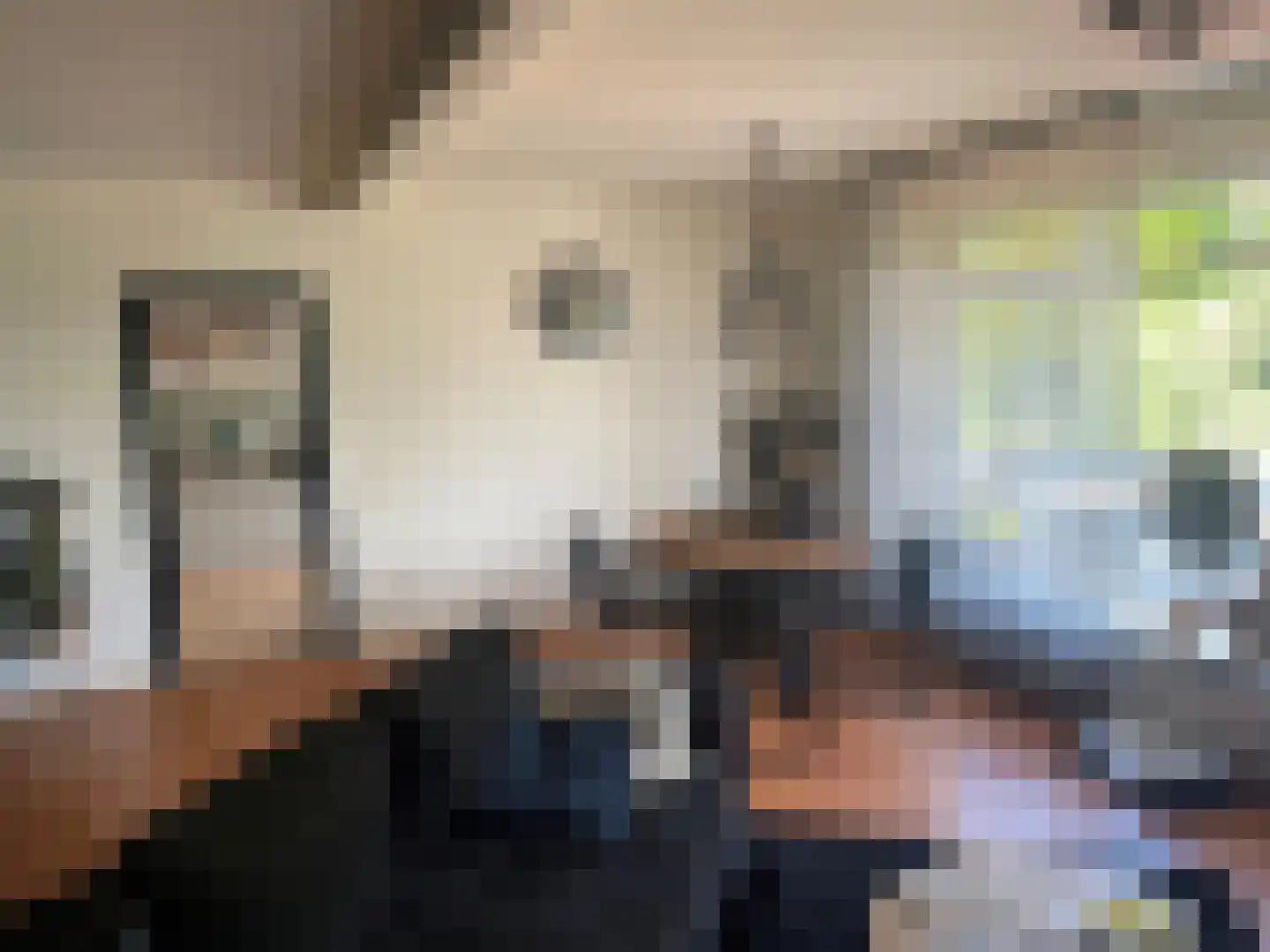 Alde Dyk 30 Kootstertille thumbnail 13
