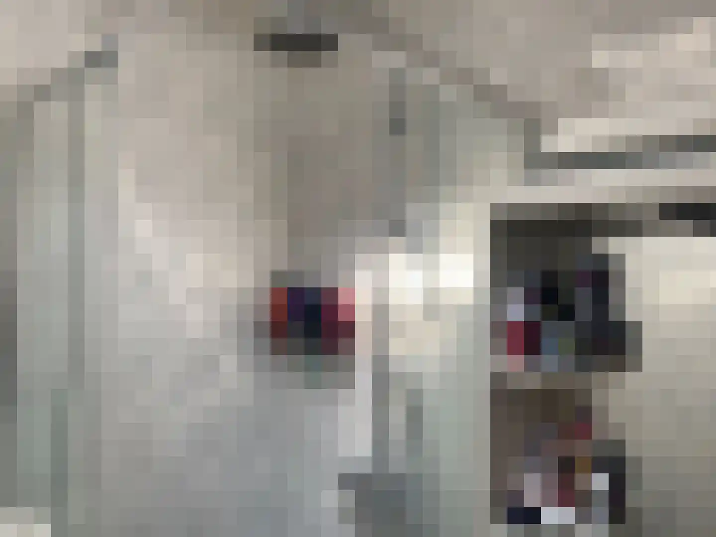 Alde Dyk 30 Kootstertille thumbnail 16