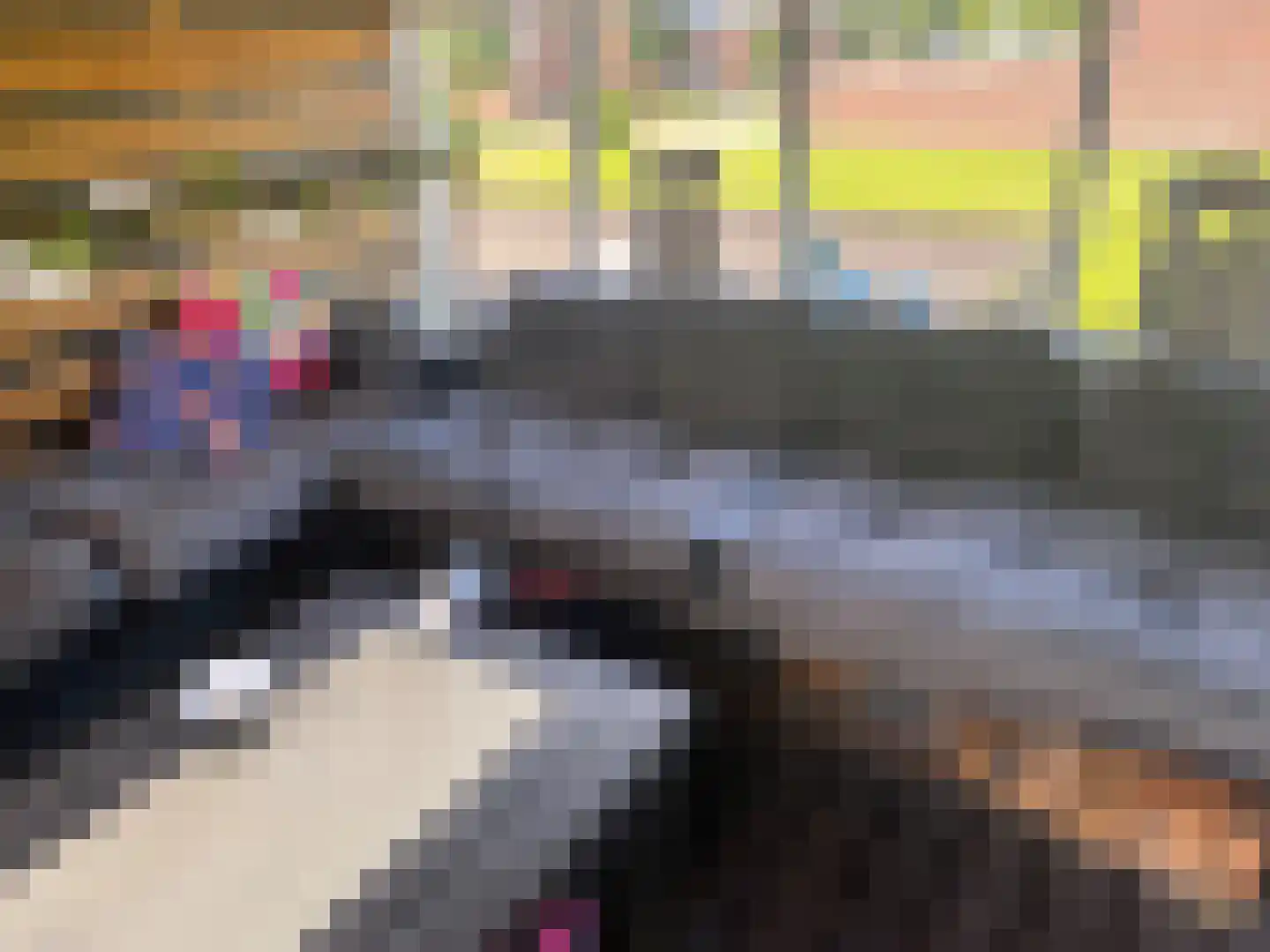 Alde Dyk 30 Kootstertille thumbnail 5