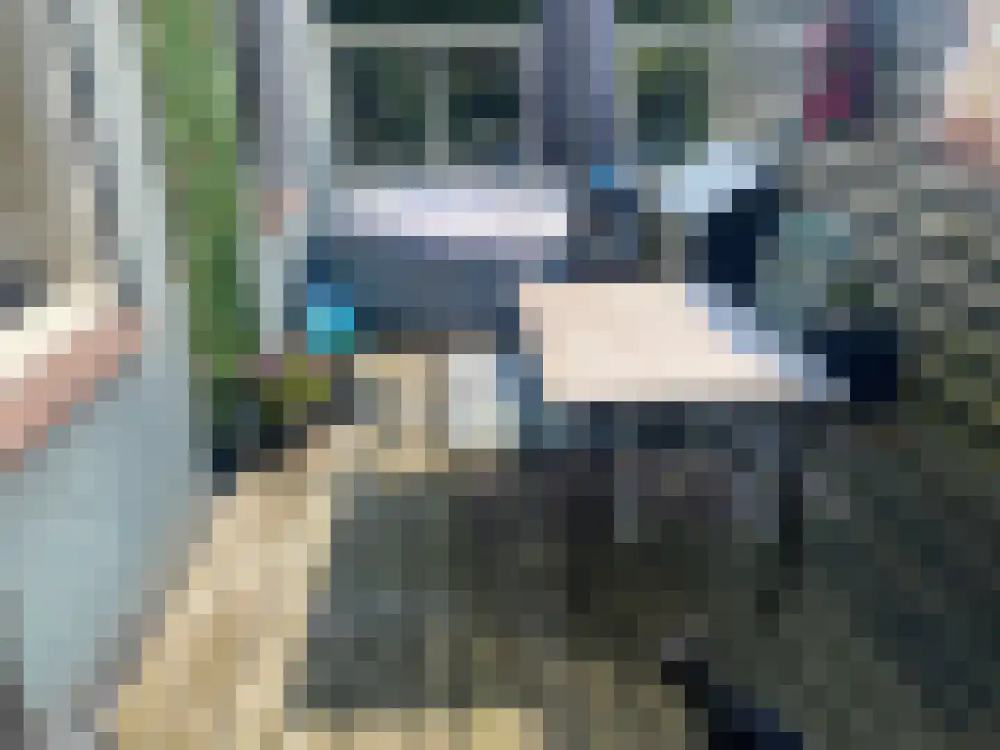 Alde Dyk 30 Kootstertille thumbnail 6