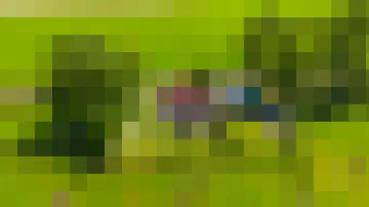 Alde Dyk 34 Terwispel thumbnail 10