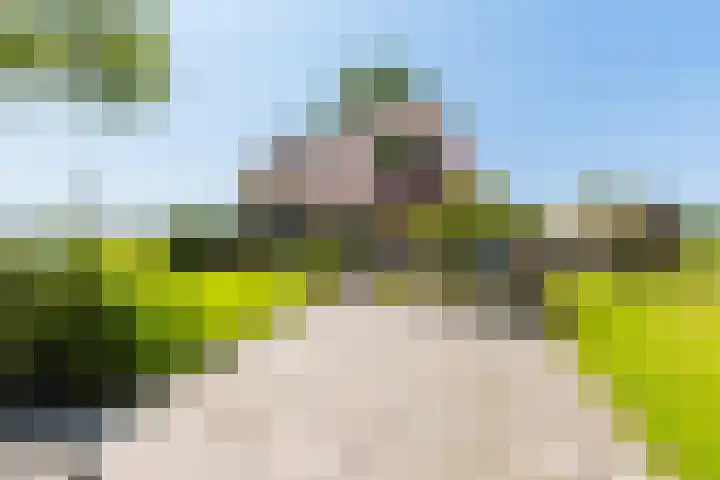 Alde Dyk 34 Terwispel thumbnail 11