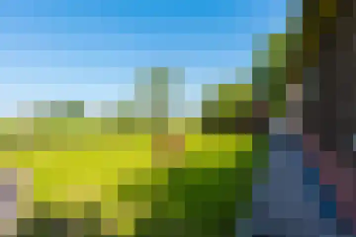 Alde Dyk 34 Terwispel thumbnail 12