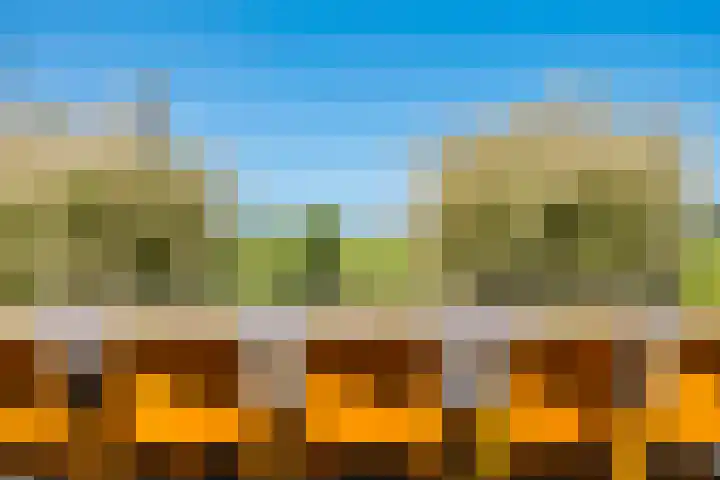 Alde Dyk 34 Terwispel thumbnail 15