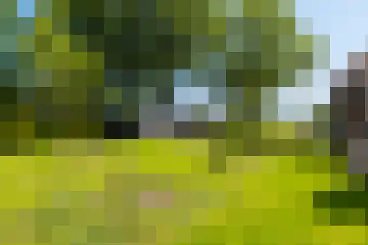 Alde Dyk 34 Terwispel thumbnail 16