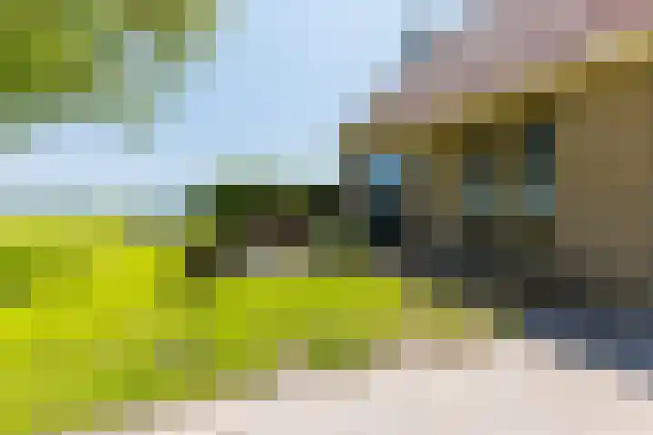 Alde Dyk 34 Terwispel thumbnail 17