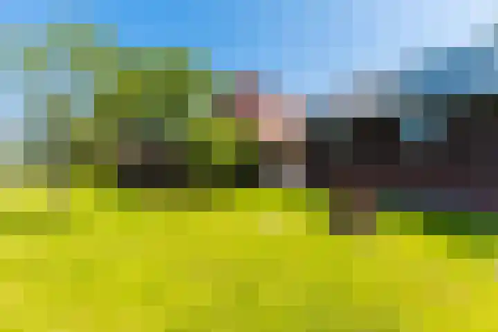 Alde Dyk 34 Terwispel thumbnail 18