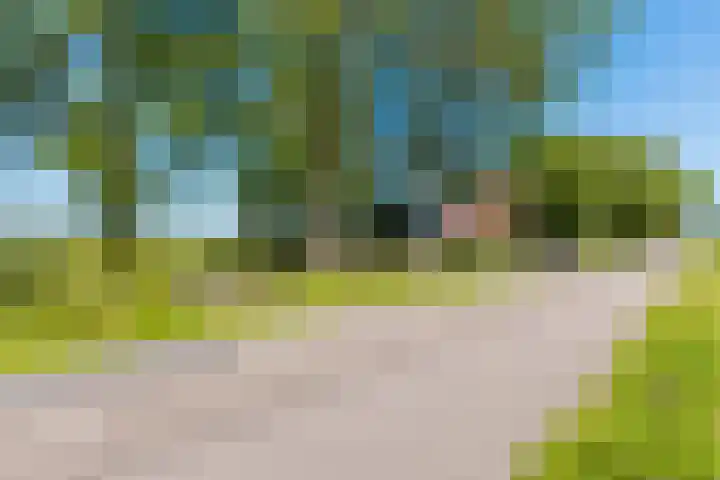Alde Dyk 34 Terwispel thumbnail 19