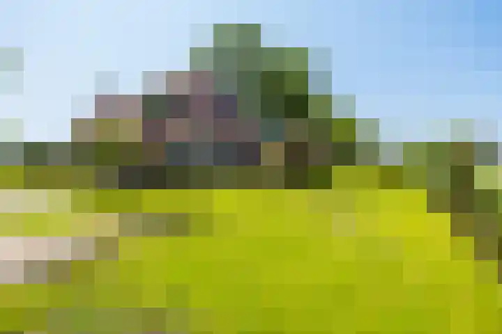 Alde Dyk 34 Terwispel foto 2