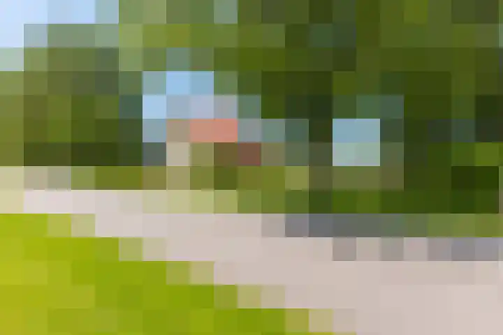 Alde Dyk 34 Terwispel thumbnail 22