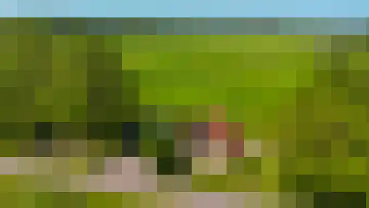 Alde Dyk 34 Terwispel thumbnail 23