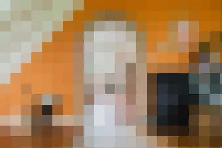 Alde Dyk 34 Terwispel thumbnail 29