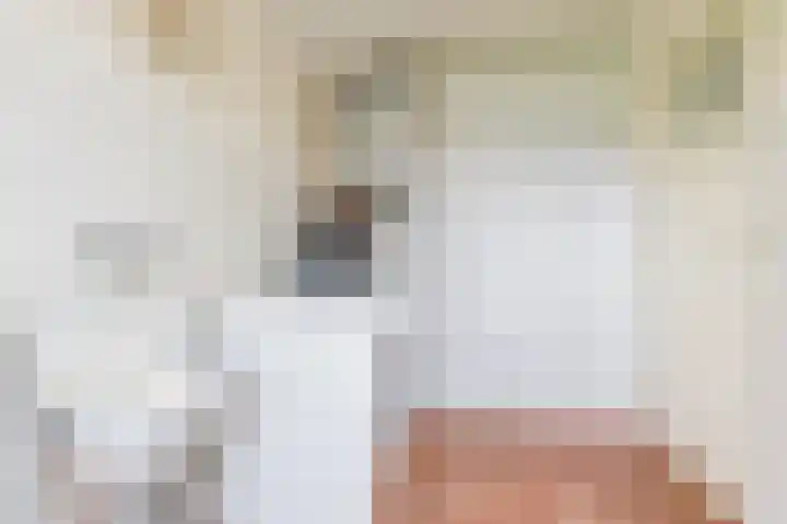 Alde Dyk 34 Terwispel thumbnail 33