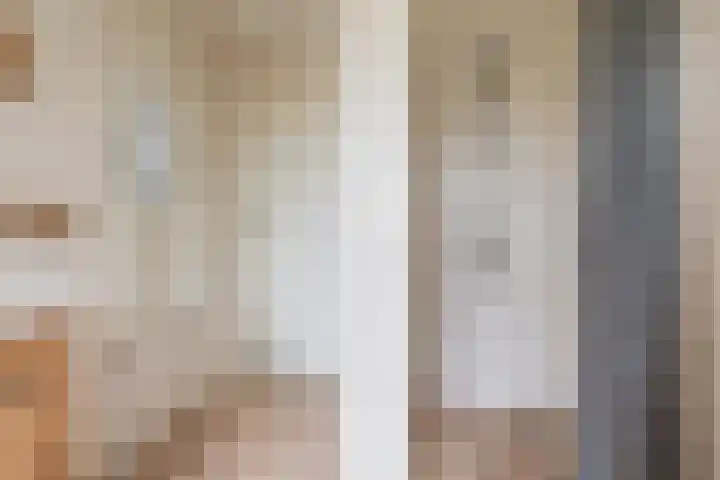 Alde Dyk 34 Terwispel thumbnail 37
