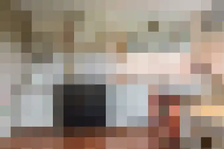Alde Dyk 34 Terwispel thumbnail 4