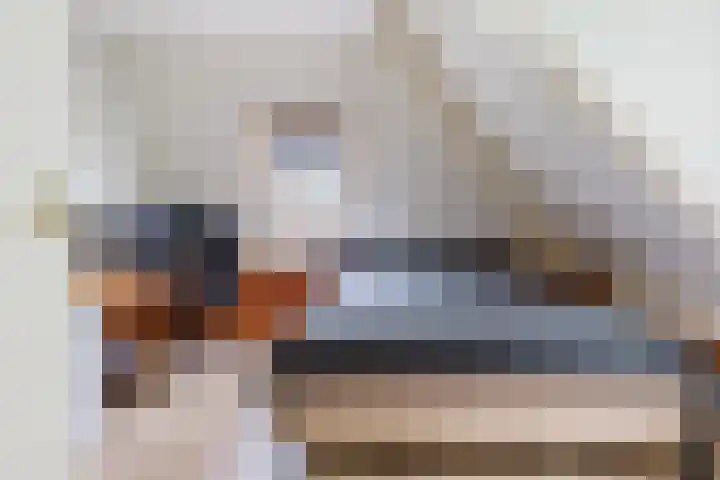 Alde Dyk 34 Terwispel thumbnail 41