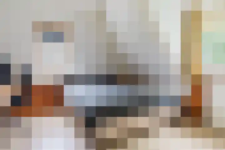 Alde Dyk 34 Terwispel thumbnail 43
